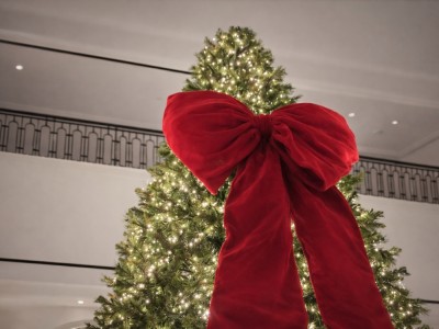 Interior House Decoration, Limassol   – Christmas Τree