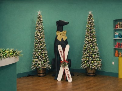 Studio Decoration – Show «Ήρθε & Έδεσε», Sigma TV