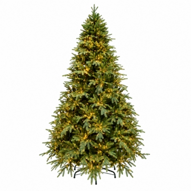 Christmas Trees with Lights