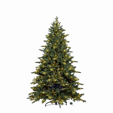 Christmas Trees with Lights