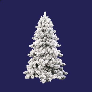Slim Christmas Trees