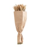 Decorative  Dry Flowers Gayle - Beige H42cm