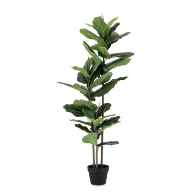 Artificial Plant with pot - Ficus Lyrata - Green -H145cm (39leaves) Artificial Plant with pot - Ficus Lyrata - Green -H145cm (39leaves)