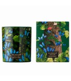 Αρωματικό κερί σε Βαζάκι - Jungletopia Butterfly - 650γρ