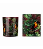 Αρωματικό Κερί σε Βαζάκι - Jungletopia Wild Musk - 200gr