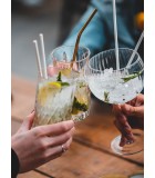 Gin Tonic Glass (1pc)