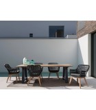 Outdoor Armchair- Madison - Black Chairs Outdoor Armchair- Madison - Black Chairs