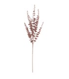 Decorative Branch Jada - Brown H75cm