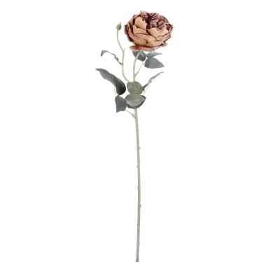 Decorative Rose - Austin - Brown - H61cm