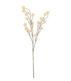 Decorative Branch - Nopaly - Beige - H65cm