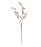 Decorative Branch - Nopaly - Pink - H65cm