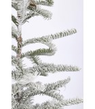 Decorative Snow Tree - Gelbison Pine
