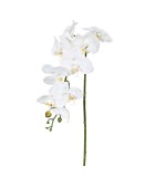 Decorative Orchid - White 98cm
