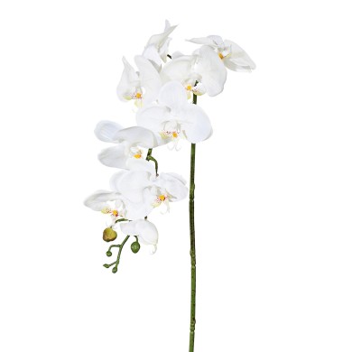 Decorative Orchid - White 98cm