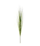 Decorative Isolepsis - Green 115cm