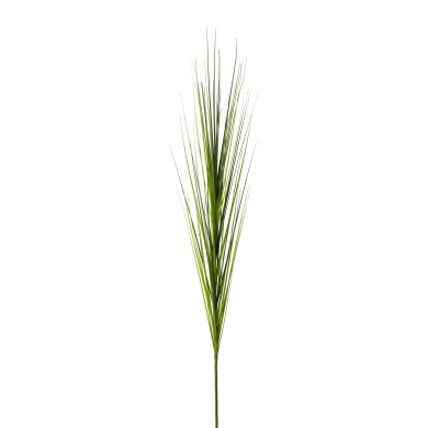 Decorative Isolepsis - Green 115cm