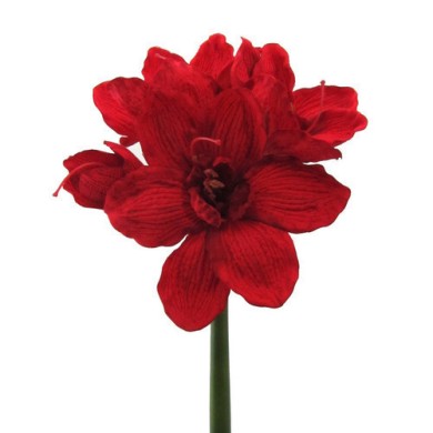 Decorative Amarylis - Red 66cm