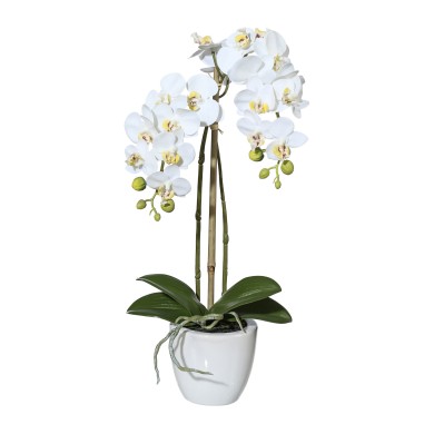 Decorative Mini Phalaenopsis in pot - Real Touch White 43cm