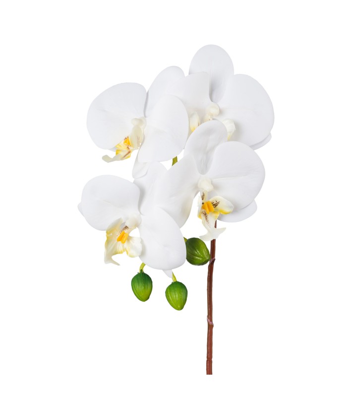 Decorative Orchid Real Touch - White 44cm Decorative Orchid Real Touch - White 44cm