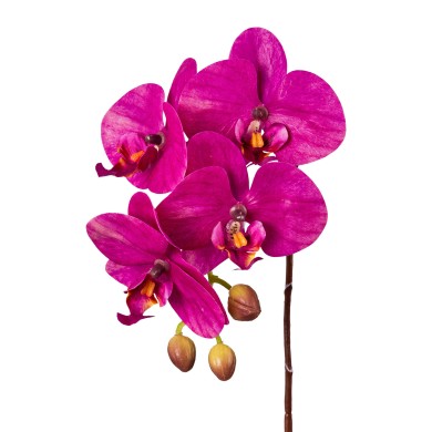 Decorative Orchid Real Touch - Pink 44cm