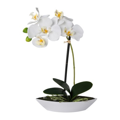 Decorative Orchid in pot - White 30cm