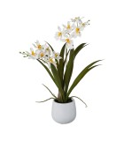 Decorative Gambia Orchid in pot - White 41cm