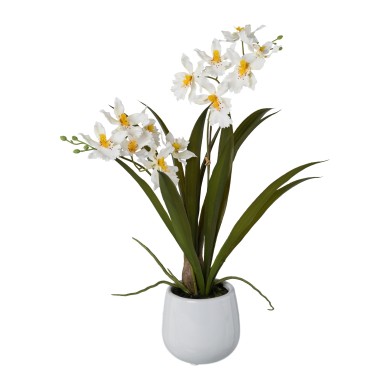 Decorative Gambia Orchid in pot - White 41cm