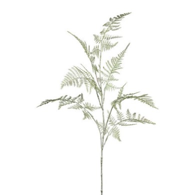 Decorative Asparagus - Green 87cm