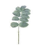Decorative Melianthus Leaf - Green 66cm
