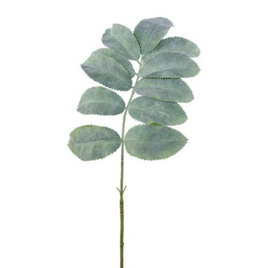 Decorative Melianthus Leaf - Green 66cm