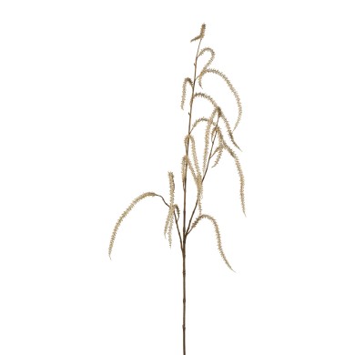Decorative Amaranthus - Natural 118cm