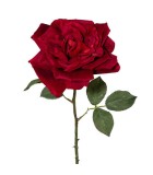 Decorative Rose - Velvet Red 60cm