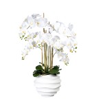 Decorative Orchid x7 in pot - White 95cm Decorative Orchid x7 in pot - White 95cm