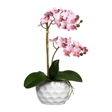 Decorative Orchid x2 in pot - Pink 40cm