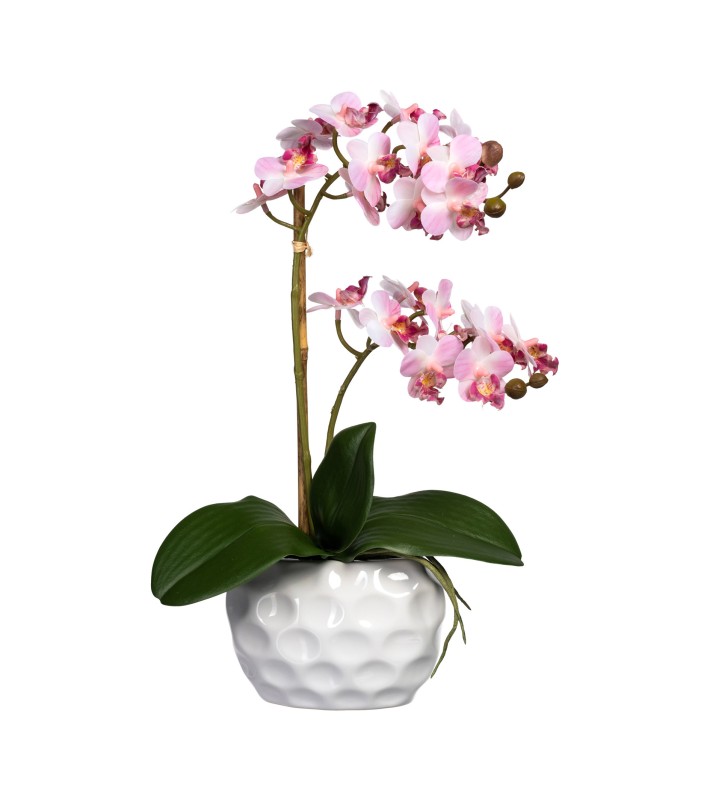 Decorative Orchid x2 in pot - Pink 40cm Decorative Orchid x2 in pot - Pink 40cm