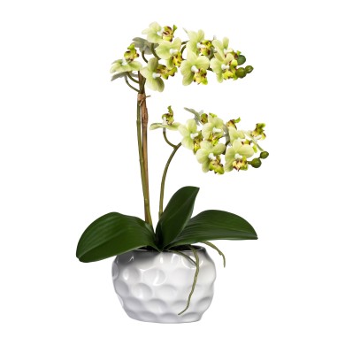 Decorative Orchid x2 in pot - Green 40cm