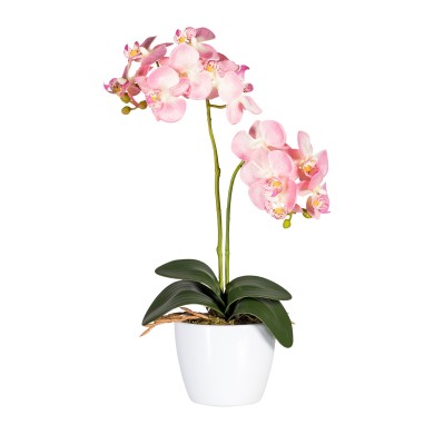 Decorative Orchid x2 in pot - Pink 50cm