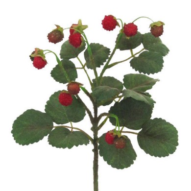 Decorative Rasberry Bush - Red 29cm