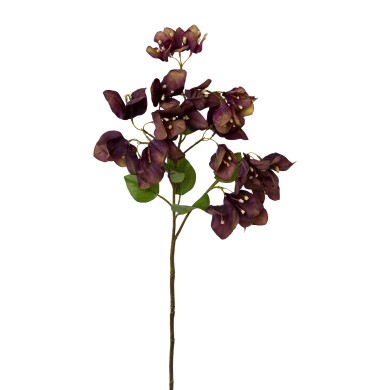 Decorative Bouganvillea - Purple 70cm