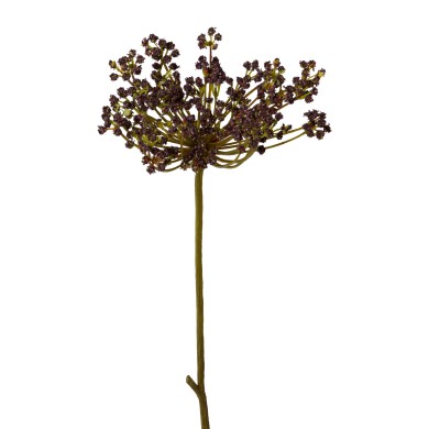 Decorative Anethum - Purple 72cm