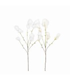 Decorative Branch - Piumino - White - H105cm (2 assorted designs)