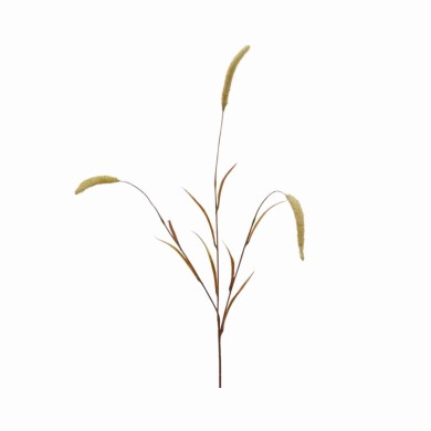 Decoarative Branch - Setaria - Beige - H81cm Decoarative Branch - Setaria - Beige - H81cm
