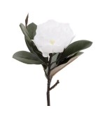 Artificial Flower - Magnolia - White - H70cm
