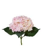 Decorative Hydrangea - Pink 53cm