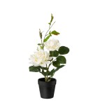 Decorative Rose Bush in pot - Crème 40cm Decorative Rose Bush in pot - Crème 40cm