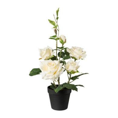 Decorative Rose Bush in pot - crème 48cm