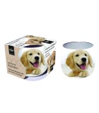 Scented candle to eliminate pet odor in glass