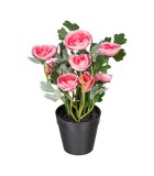 Decorative Buttercup Blossoms in pot - Pink 25cm