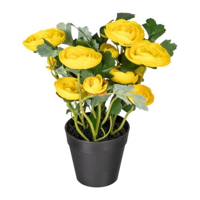 Decorative Buttercup Blossoms in pot - Yellow 25cm