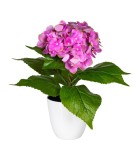 Decorative Hydrangea in pot - Pink 40cm